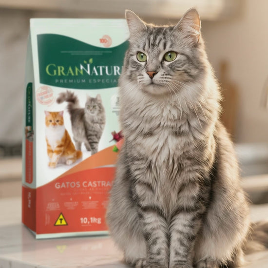 Vídeo Ração Grannature Gatos Castrados Salmão