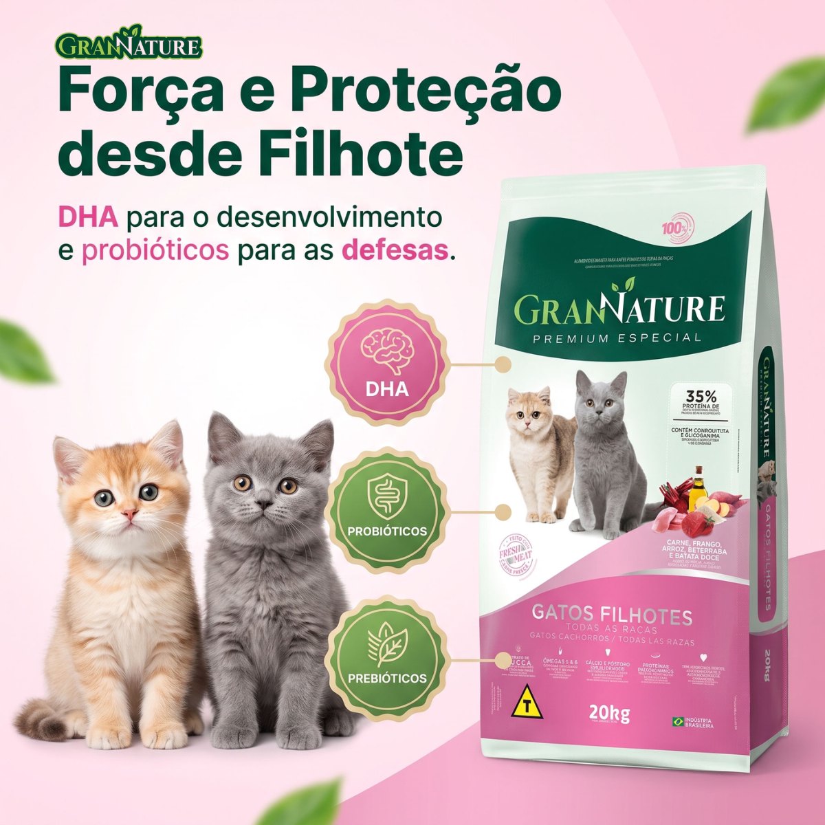 Ração Grannature Gatos Filhotes
