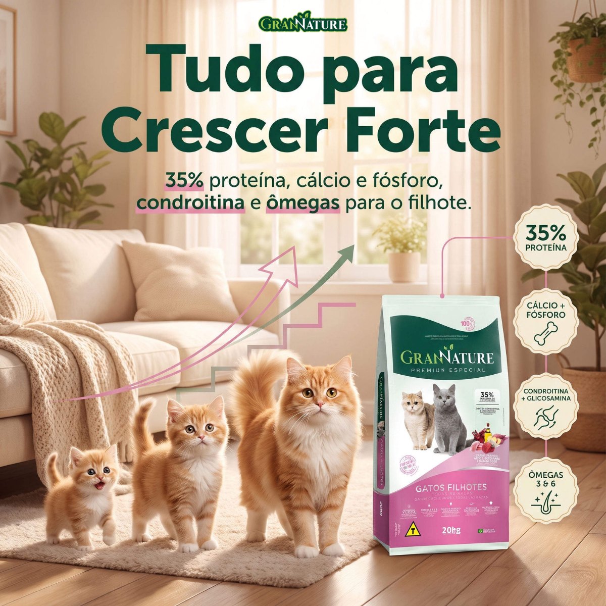 Ração Grannature Gatos Filhotes