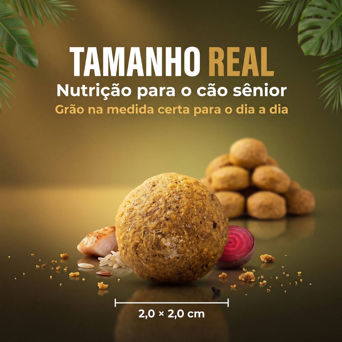 Ração Grannature Supremo Cães Sênior 7+ Raças Médias e Grandes