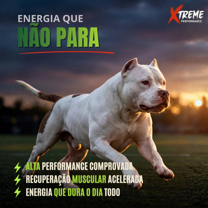 Ração Grannature Xtreme Cães Adultos