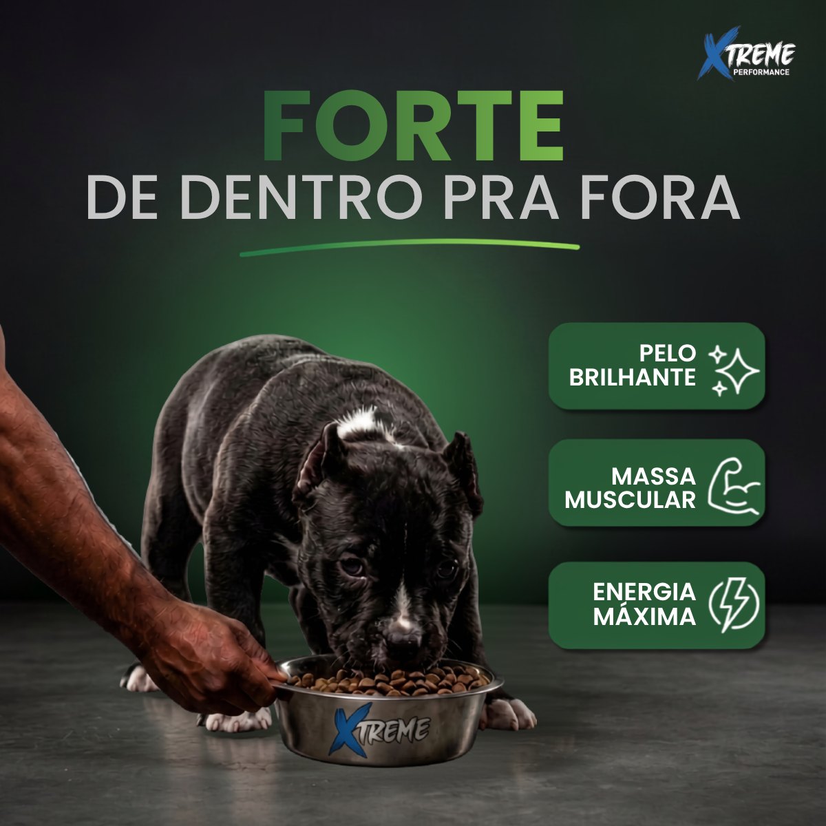 Ração Grannature Xtreme Cães Filhotes
