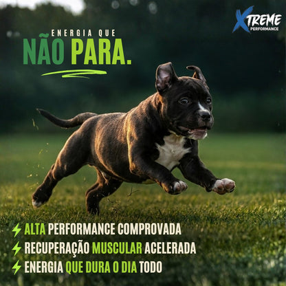 Ração Grannature Xtreme Cães Filhotes