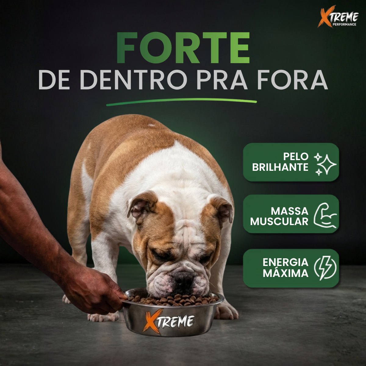 Ração Grannature Xtreme Small