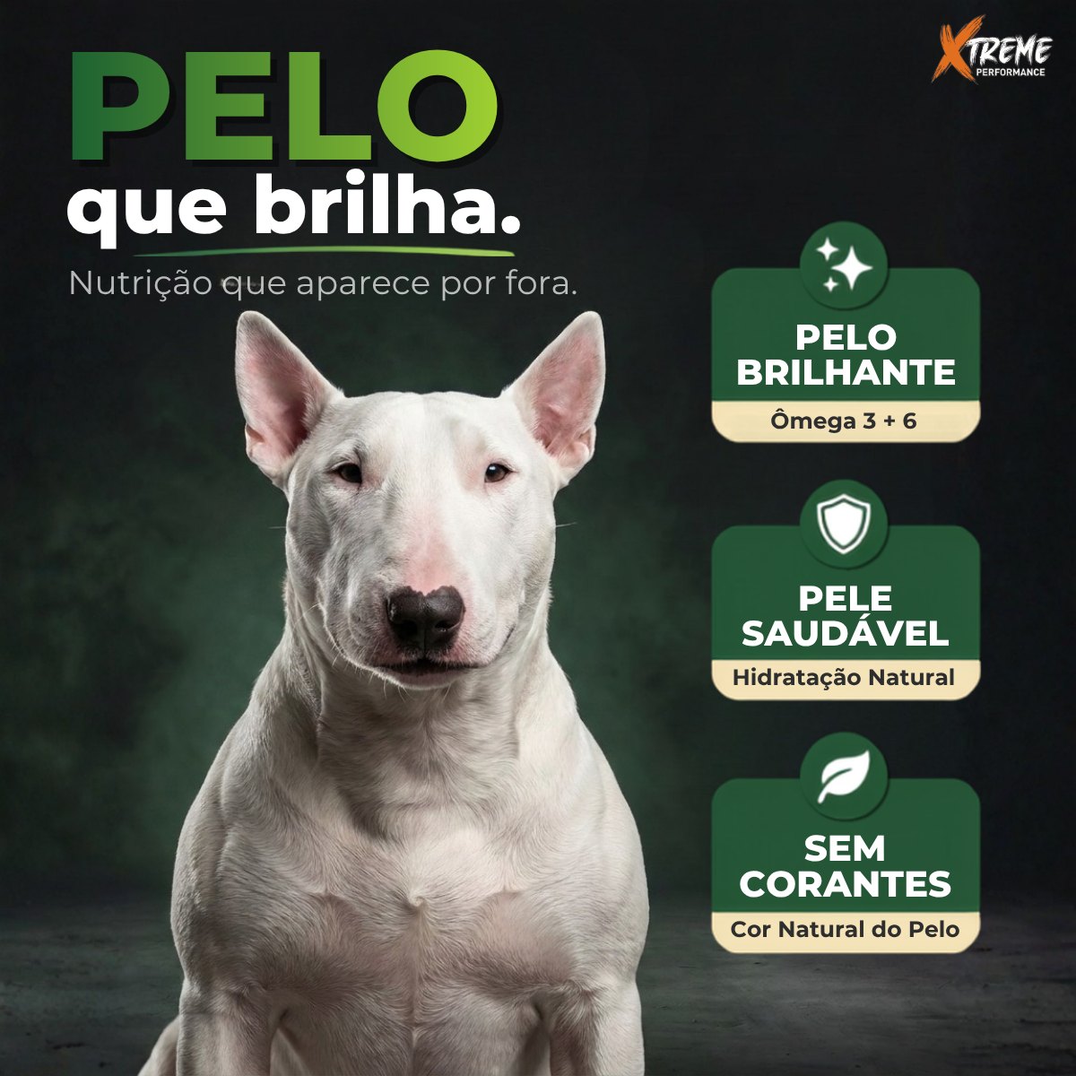 Ração Grannature Xtreme Small