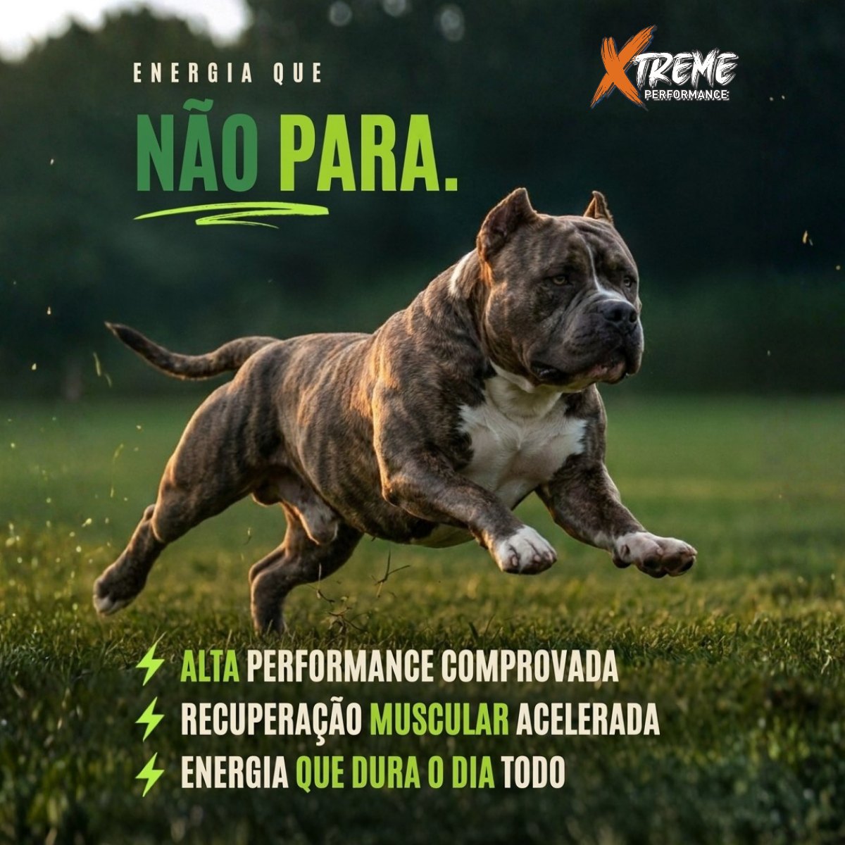 Ração Grannature Xtreme Small